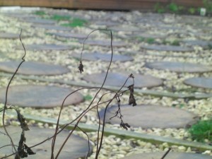 Emmaus House stepping stone labyrinth, Edinburgh